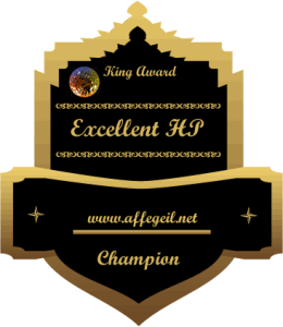 King Award Medaille Champion Affegeil.net