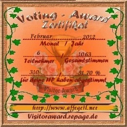 Urkunde Visitor-Award